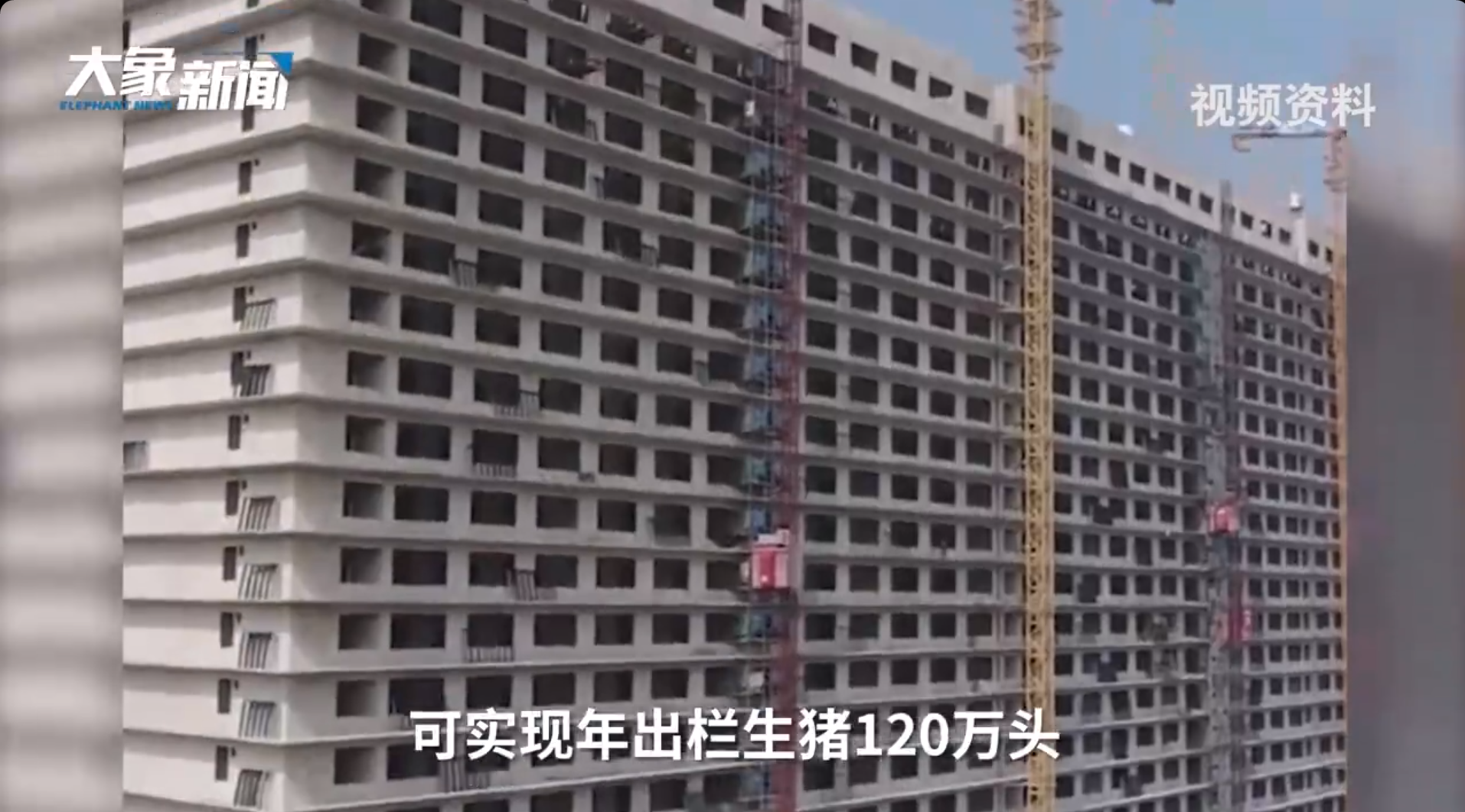 图片来源:大象新闻