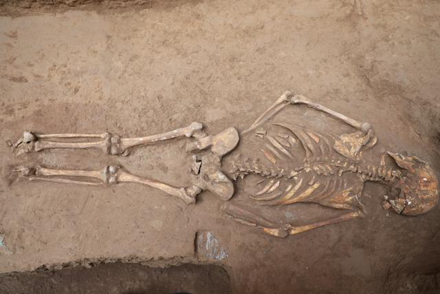 陶渠遗址发现两周时期8座甲字形大墓系京国所在地