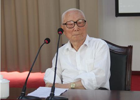 (百岁国医大师颜正华)