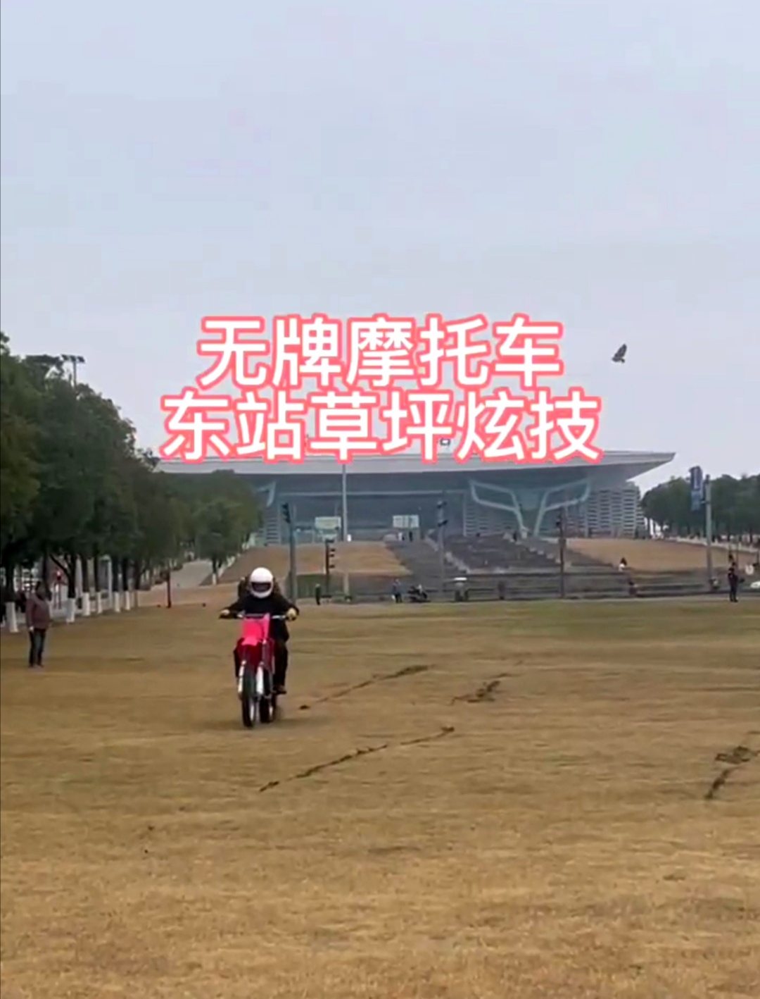 热心市民制止摩托车碾压公园草坪 有关部门正在寻找骑手