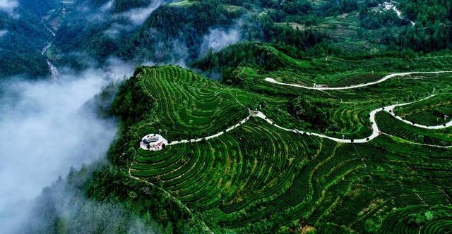 两会圆桌打造更高水平天府粮仓重要承载地四川达州如何在逆势中突破