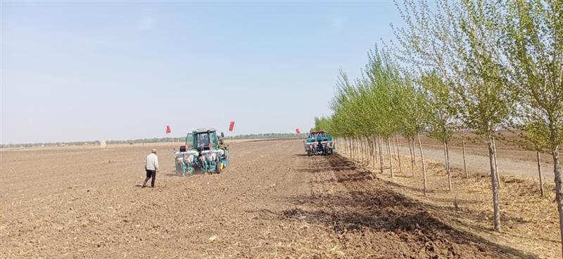 什么是农业消息服务