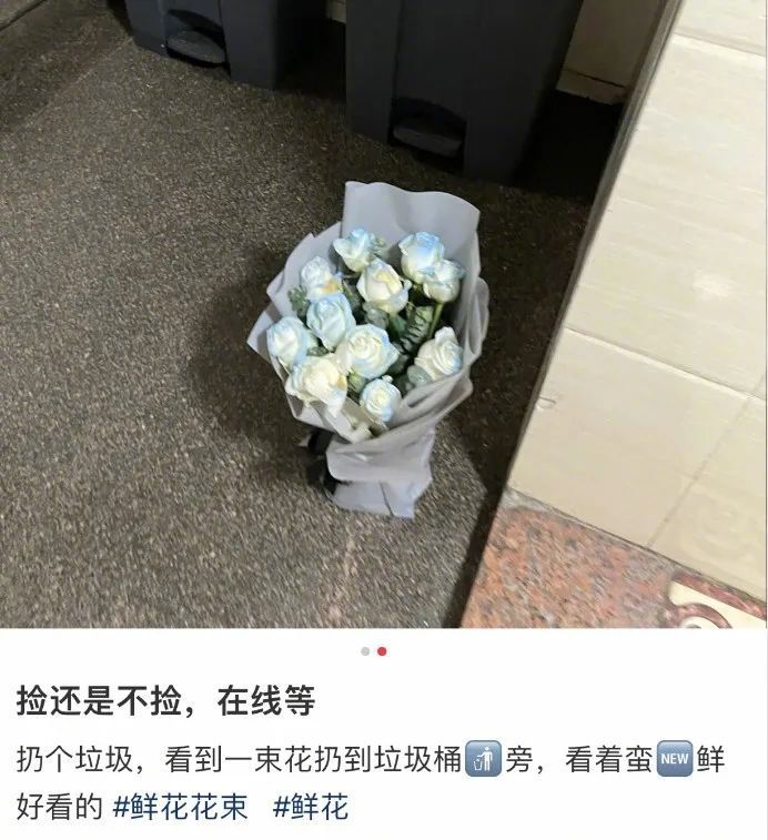 看着花瓣上还带着露珠的鲜花被扔在了垃圾桶里,路过的行人都难免会动