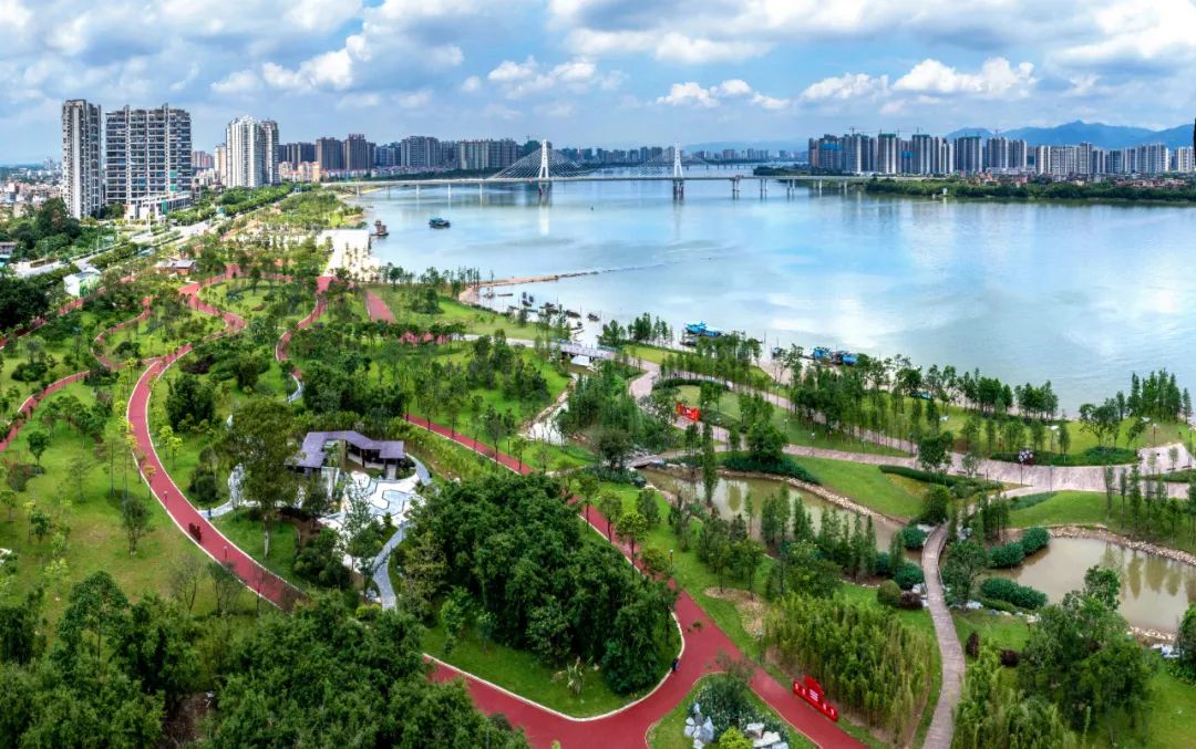 清远北江南岸公园.清远日报签约摄影师 李文勇 摄