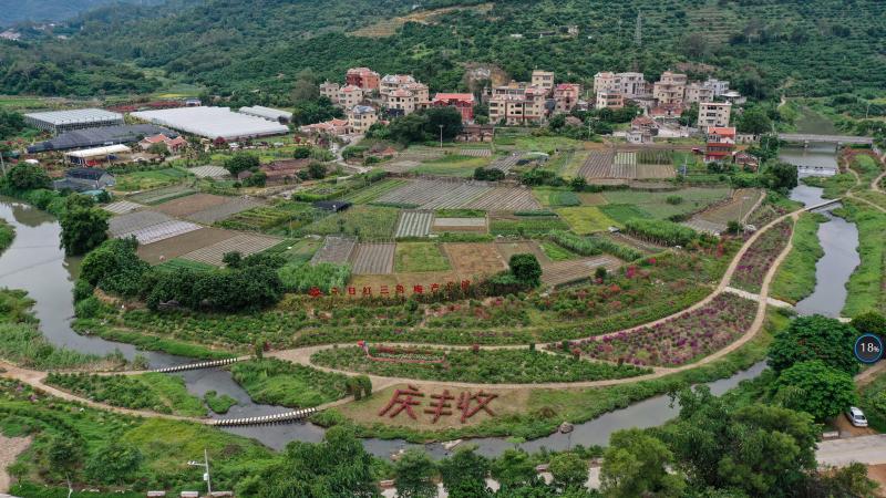 古坑村航拍.夏海滨 摄