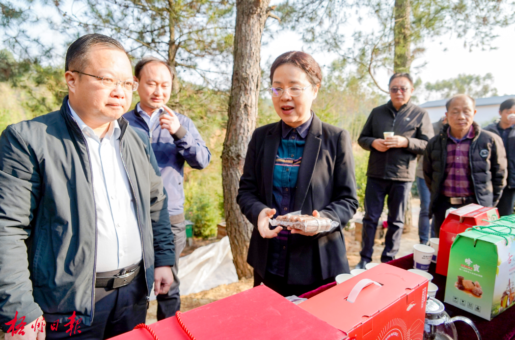 2月15日,市长钟畅姿来到同心镇吉公山养蜂示范基地,了解蜂产业和米粉