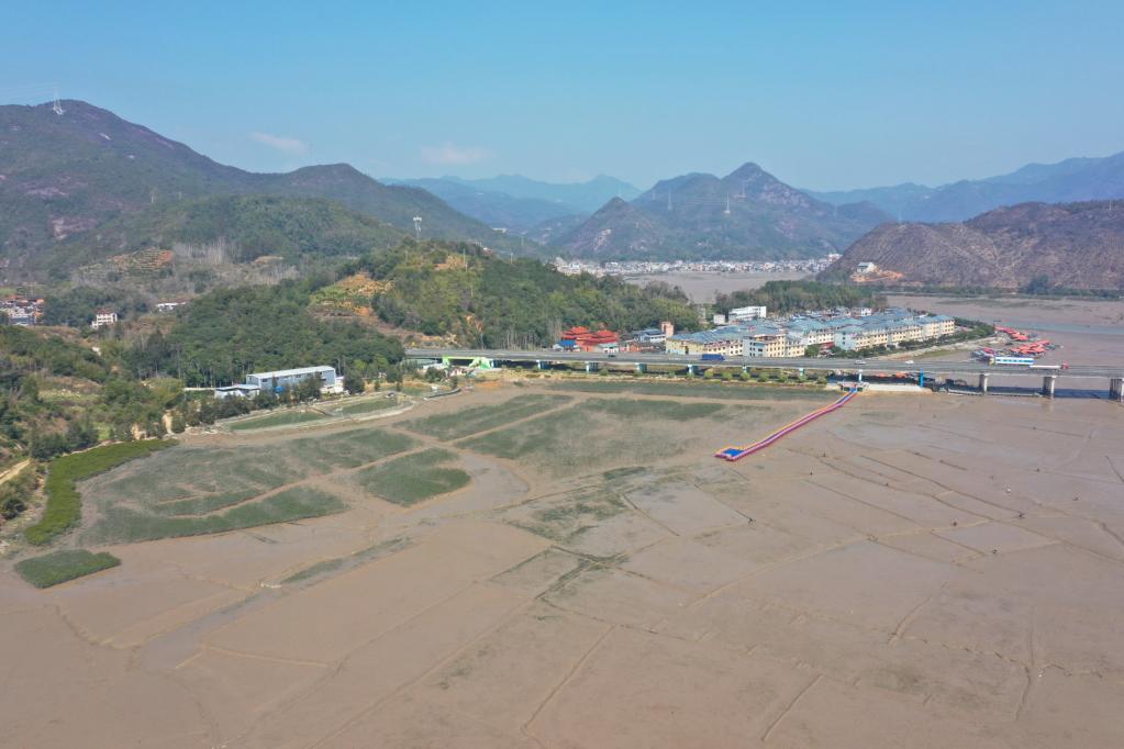 福安市溪尾镇溪邳村附近滩涂在除治互花米草后,种上了红树林并开展