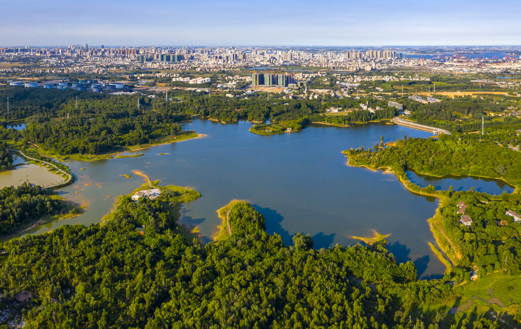 湛江市三岭山森林公园.