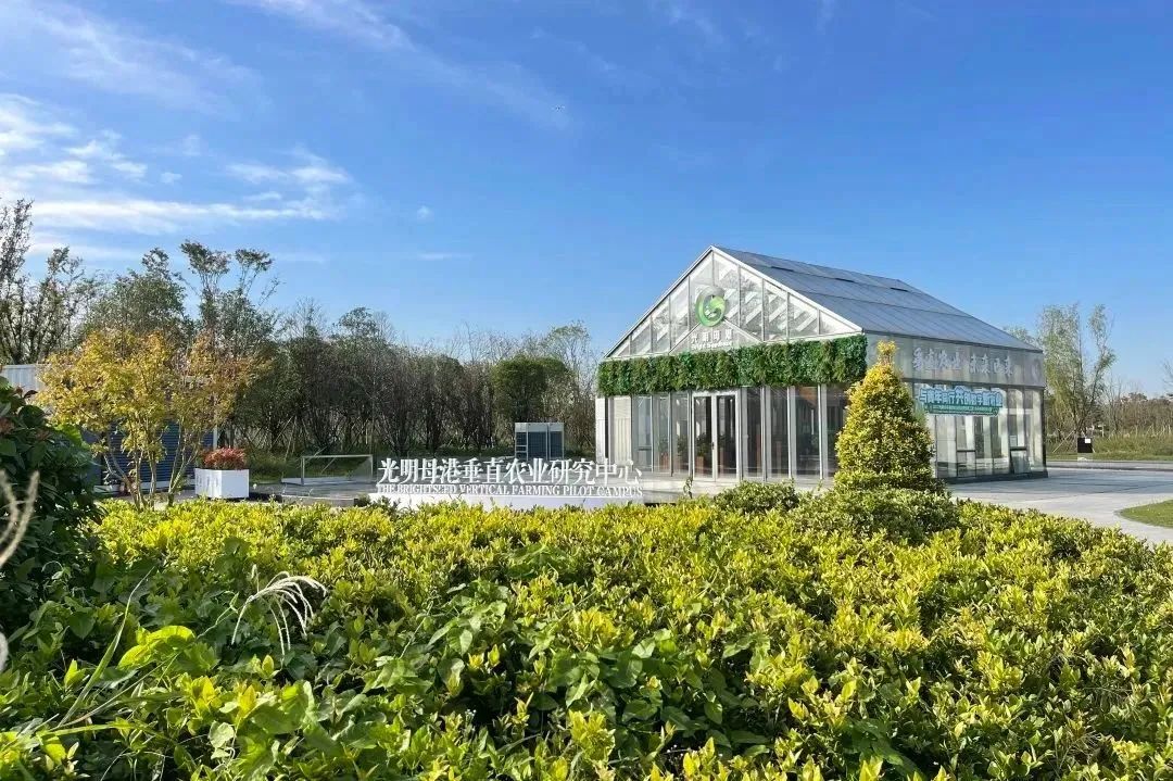 光明母港垂直农业研究中心 图源|光明母港