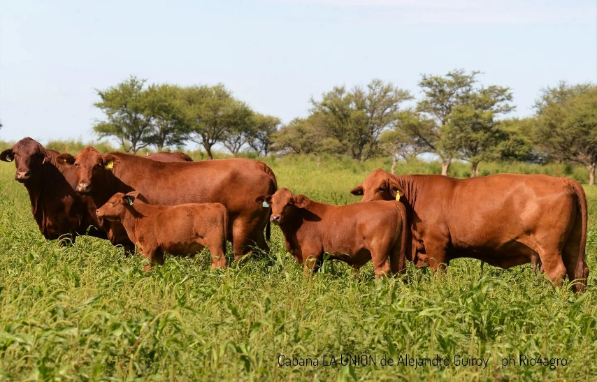　　(来源：新视线)