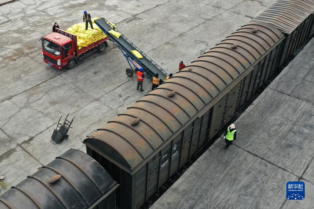 2月17日,工作人员在兰州货运中心金昌铁路货场内进行化肥卸车作业.