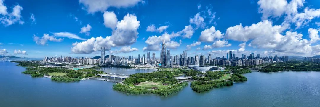 航拍深圳湾.深圳特区报记者 周红声 摄