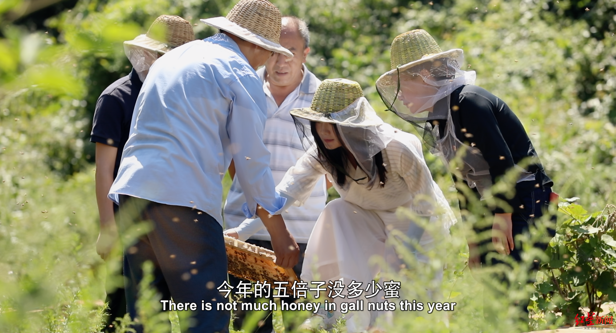 ↑《追山人》剧照