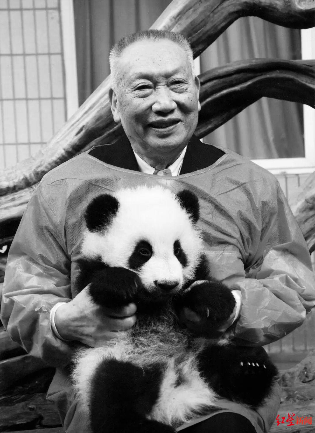 西华：“大熊猫之父”生前录视频寄语年轻人多在野外跑一跑，为大熊猫保护事业做贡献
