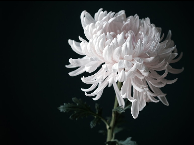 德国卡特怎么样2月19日新闻早知道丨昨夜今晨·热点不容错过_https://www.jmylbn.com_新闻资讯_第9张