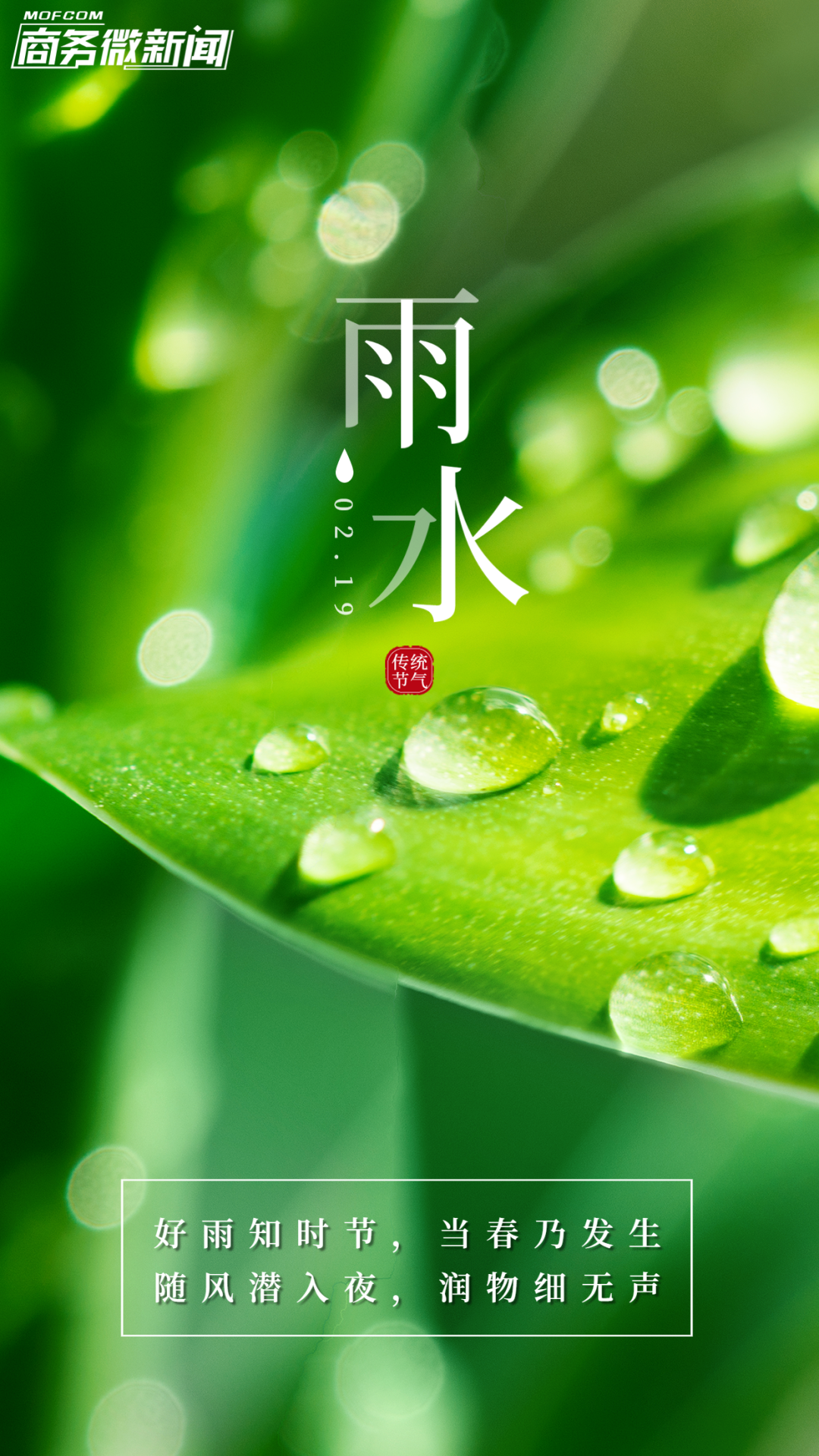 二十四节气 | 今日雨水_新浪财经_新浪网