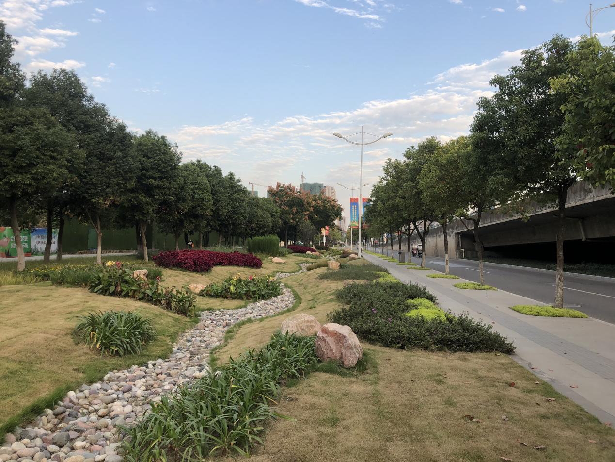 受访者供图城市道路两侧的绿地也是改造的重点区域之一.