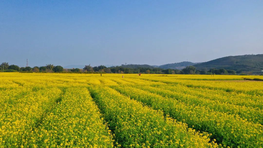 今天,大美韶关荣登大报!