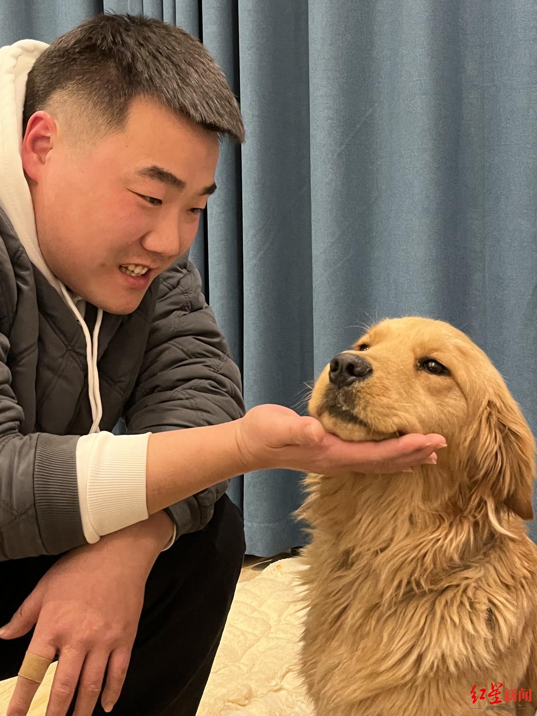 刘先生和金毛犬