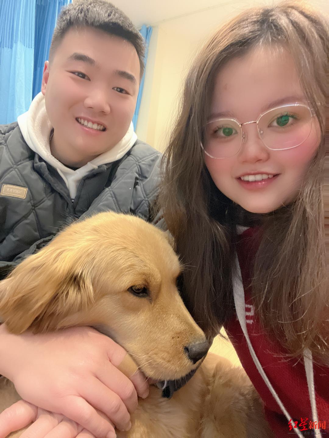 李女士夫妇和收养的金毛犬