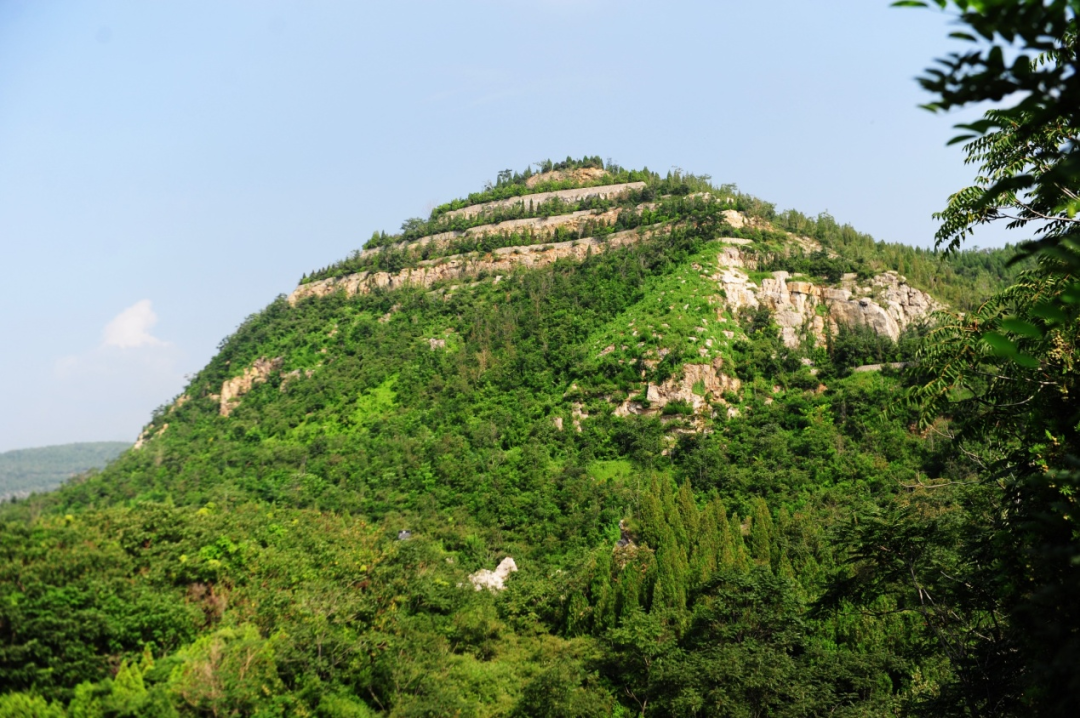 厚层基材喷播绿化10年半后照片(2016年8月摄)