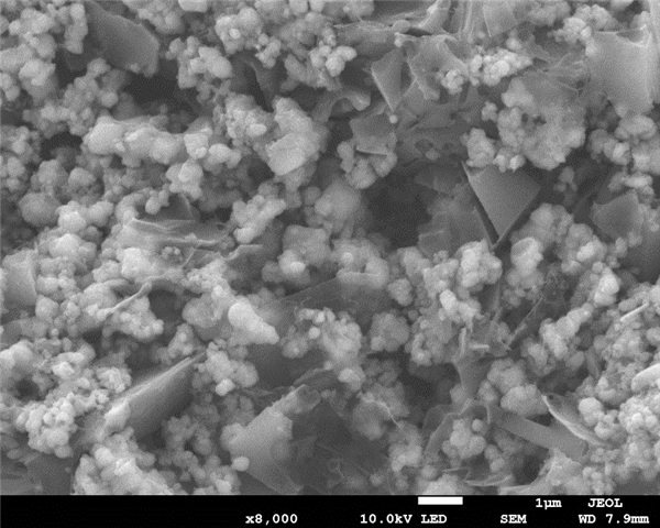 　　图4. 商用LiFPO4/超级快充石墨烯导电剂/PVDF电极以15 C高倍率循环370圈后的非原位FESEM图像