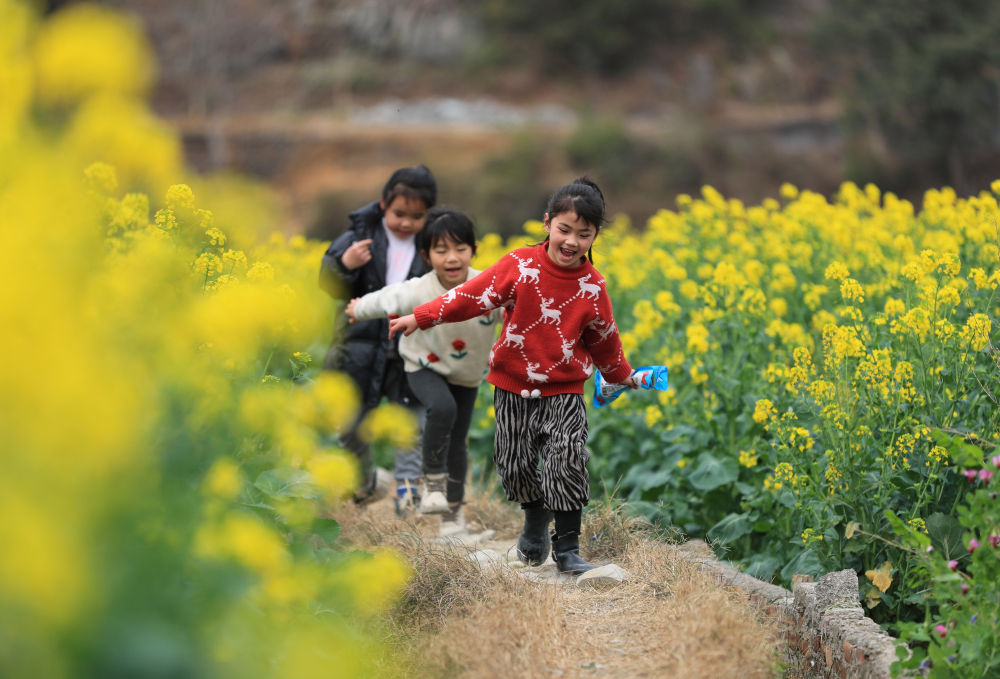 2月19日,小朋友在贵州省从江县洛香镇上皮林村的油菜花田间玩耍.