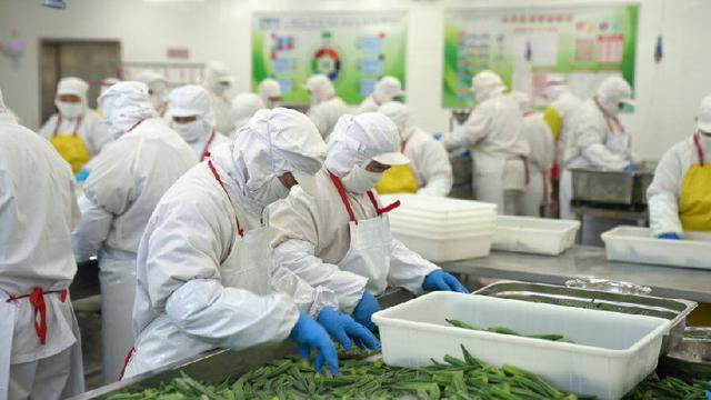 泰安弘海食品有限公司加工车间.(薛志颖 摄)