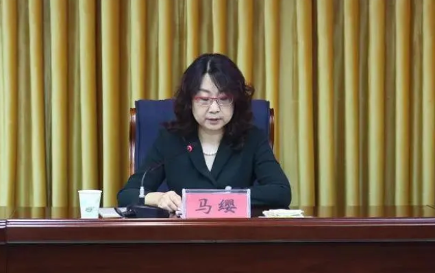 36岁升正厅的她,新职明确|乡村振兴_新浪财经_新浪网