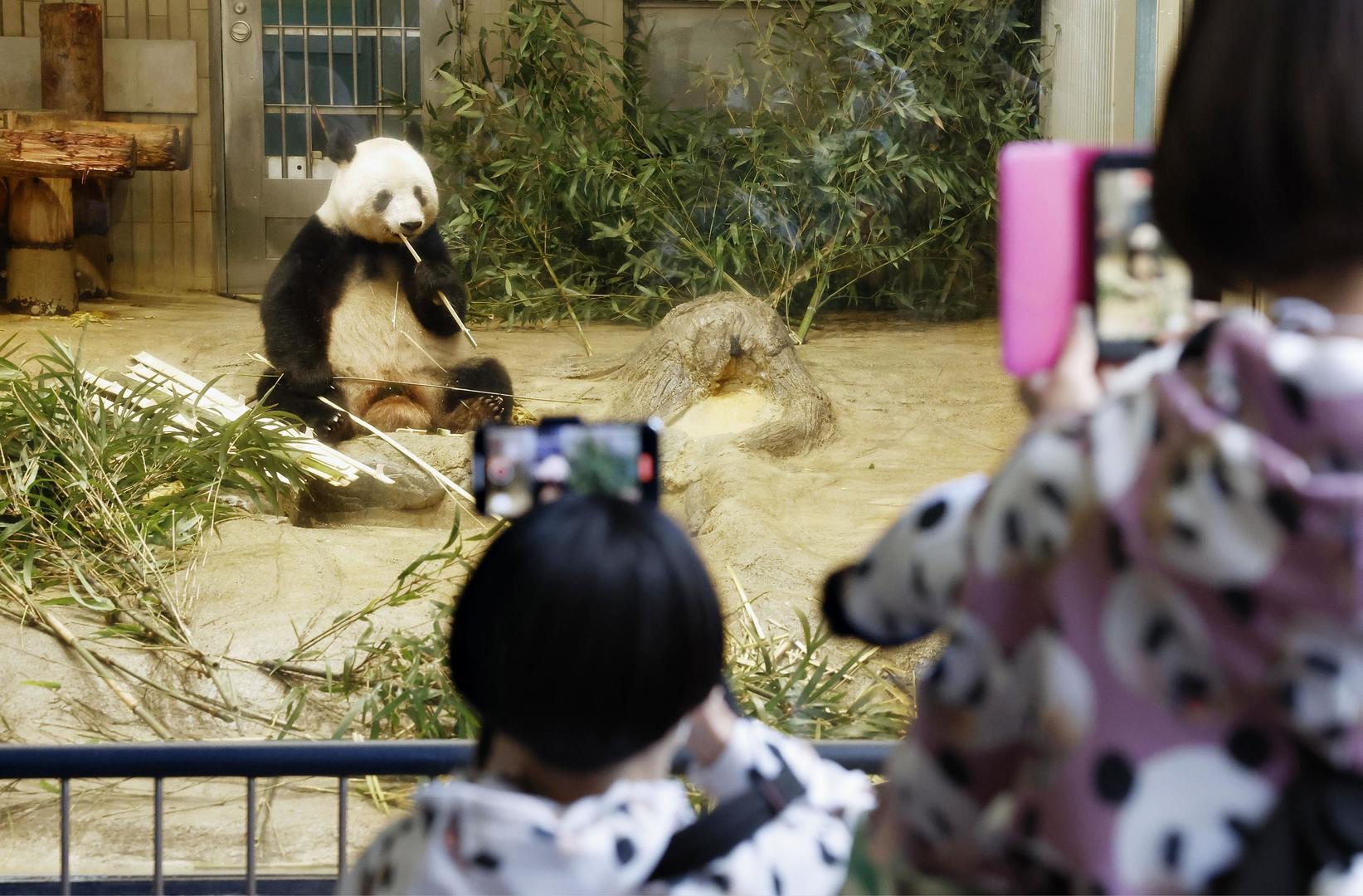 ▲人们在上野动物园为大熊猫香香拍照，这是它返回中国之前在游客面前的最后一天。图源视觉中国