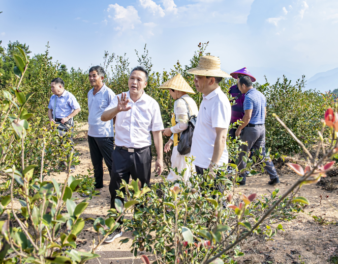【我从基层来】全国人大代表卢玉胜:带领乡亲致富 为乡村振兴献策献力