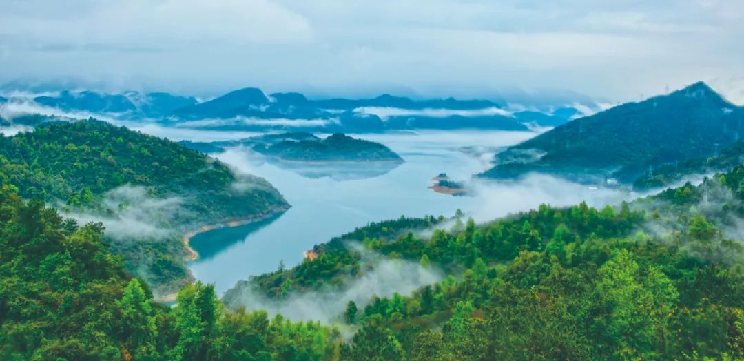 激发县域经济活力,乳源这么干!