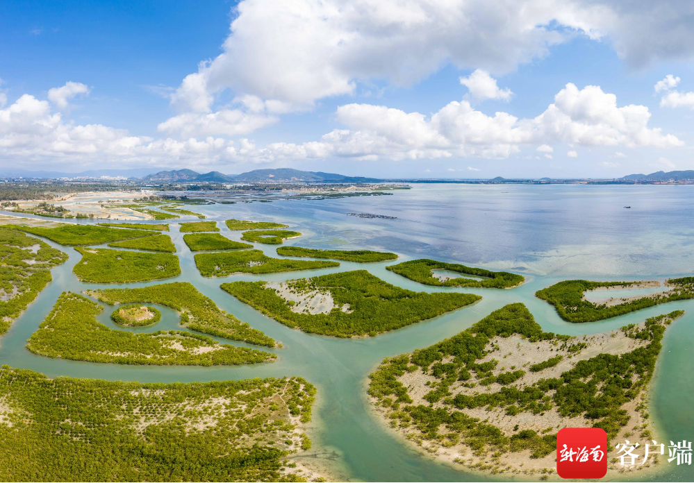 陵水红树林国家湿地公园.记者 刘洋摄