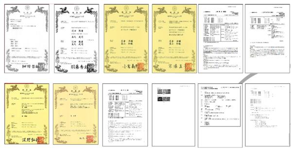 　　BR产品所获专利情况