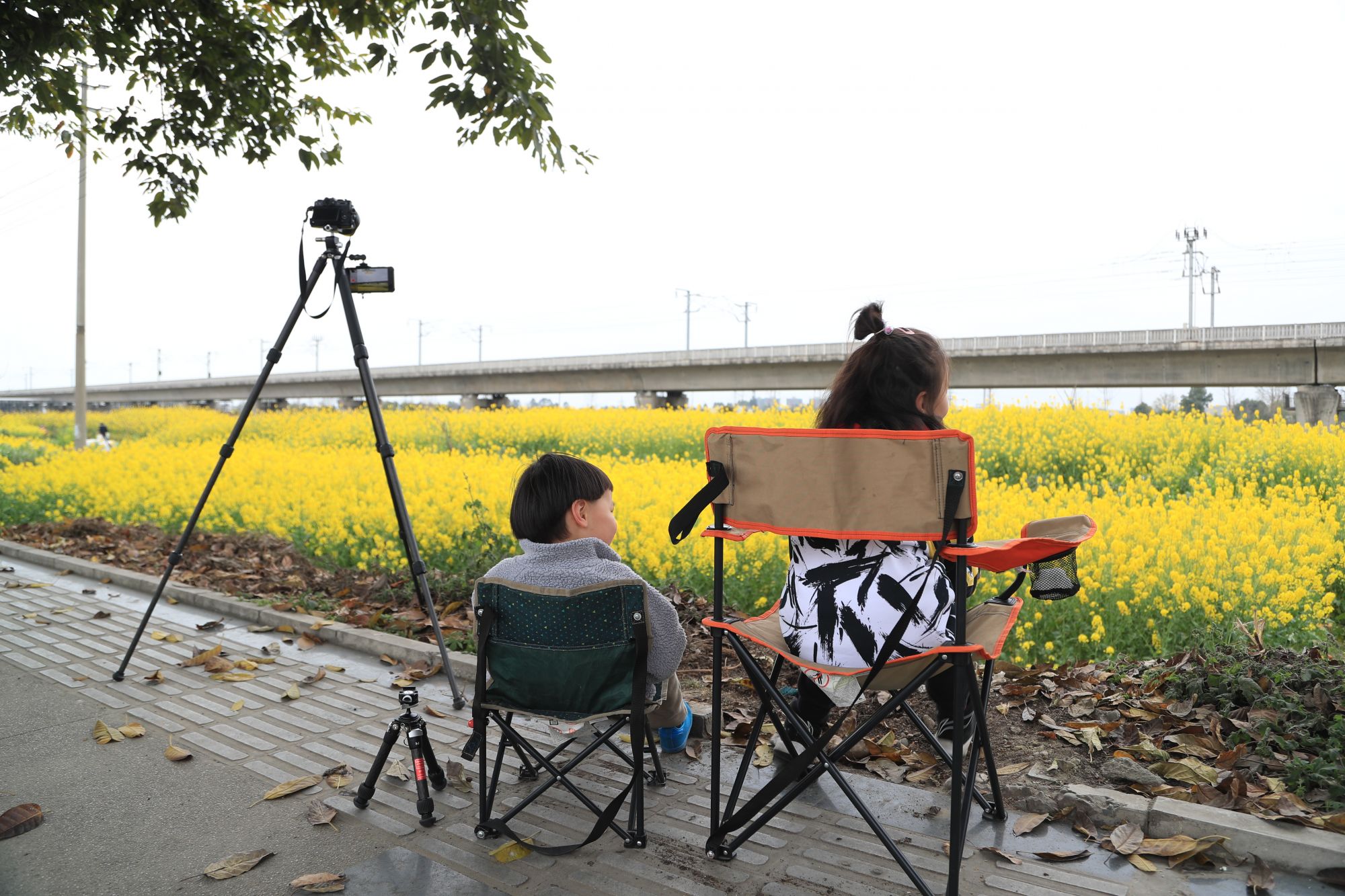 成都双流黄水：万亩油菜花开春意浓 乡村振兴绘制新画卷|成都市_新浪财经_新浪网