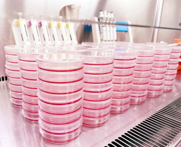 　　超技良食科研场景