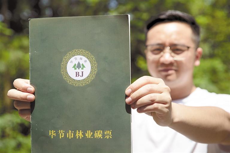 毕节 “碳”索生态发展新路径_新浪财经_新浪网