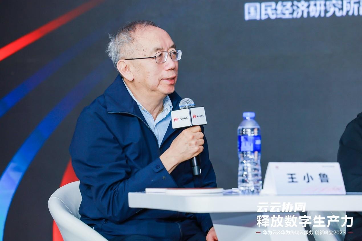 　　国民经济研究所副所长王小鲁