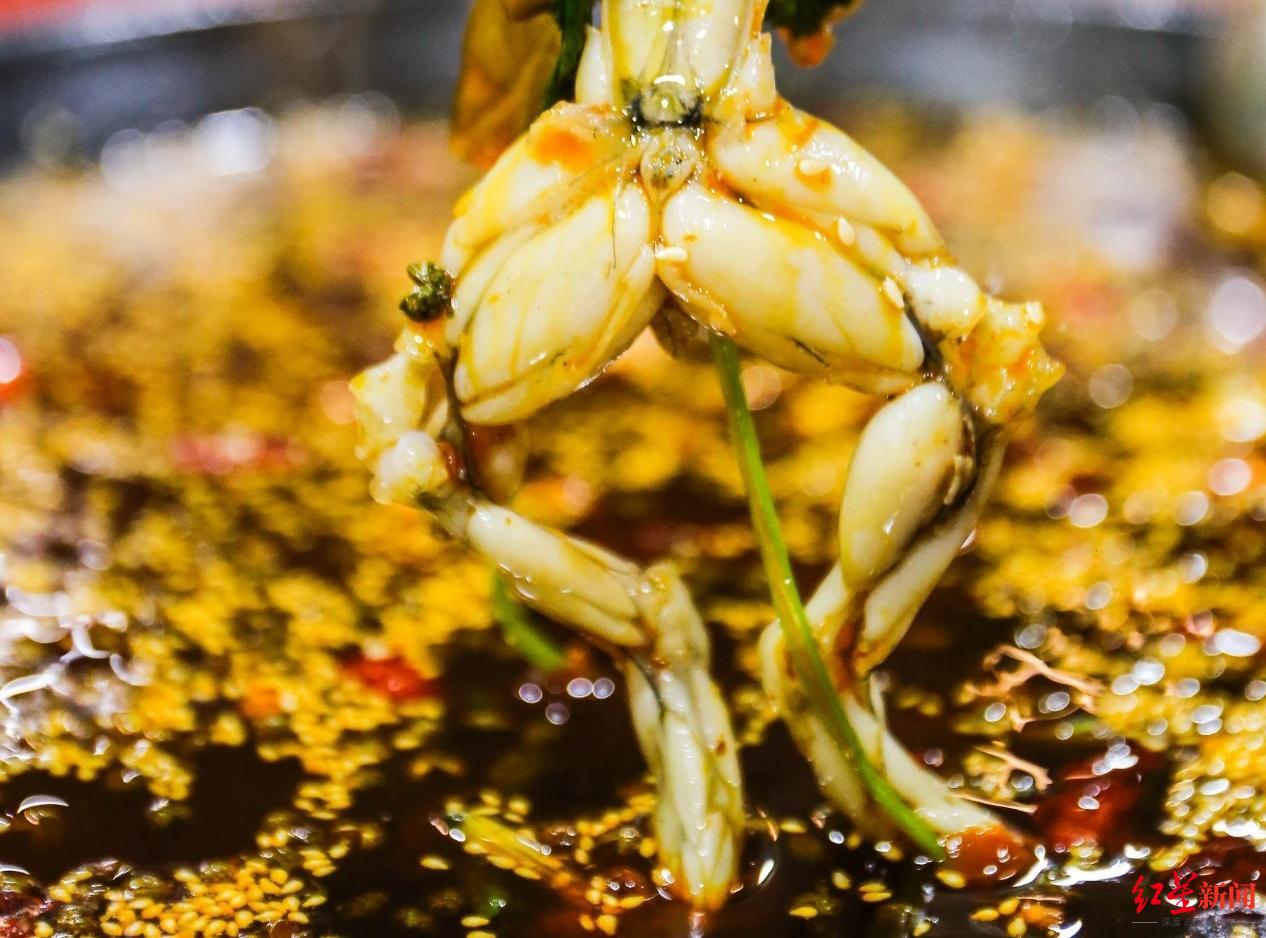 危险的牛蛙美蛙餐馆检出兽药残留超标背后滥用抗生素与禁用兽药的养殖