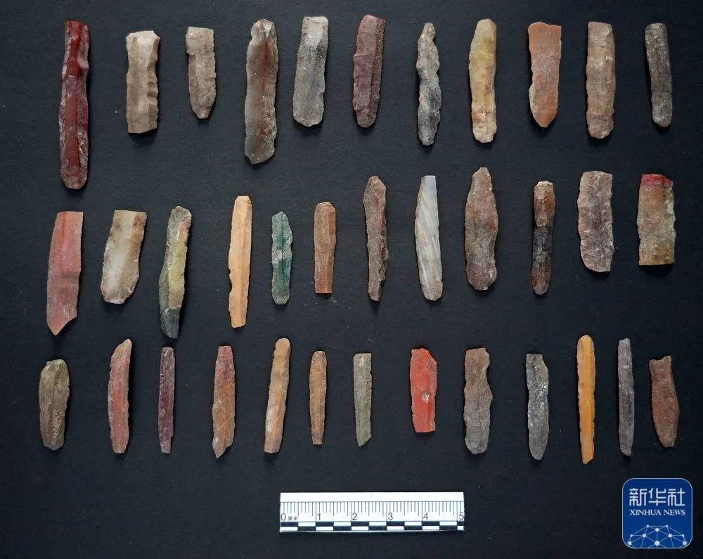 河北尚义县四台新石器时代遗址出土的细石叶(资料照片).新华社发