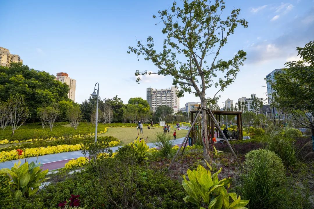 江浦公园江浦路围墙"拆墙透绿"