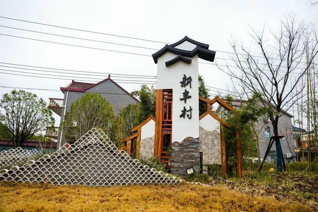 讲好示范村故事丨青浦新丰村共商共议共建五星四责三色构建乡村治理新
