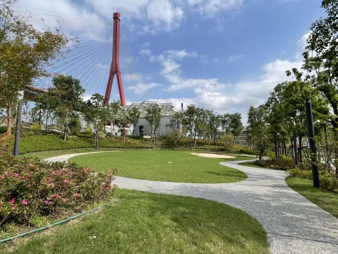 向公园里的城市转变为美丽杨浦增光添彩