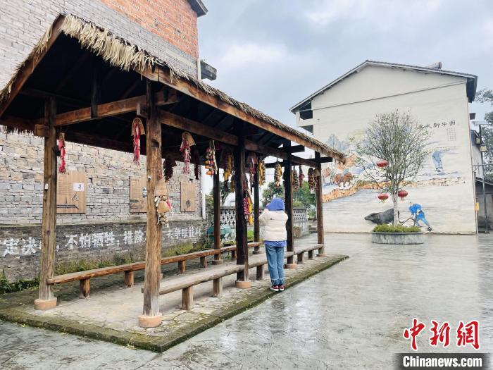 【走进区域看发展】重庆璧山:农文旅融合 激活乡村振兴"一池春水"