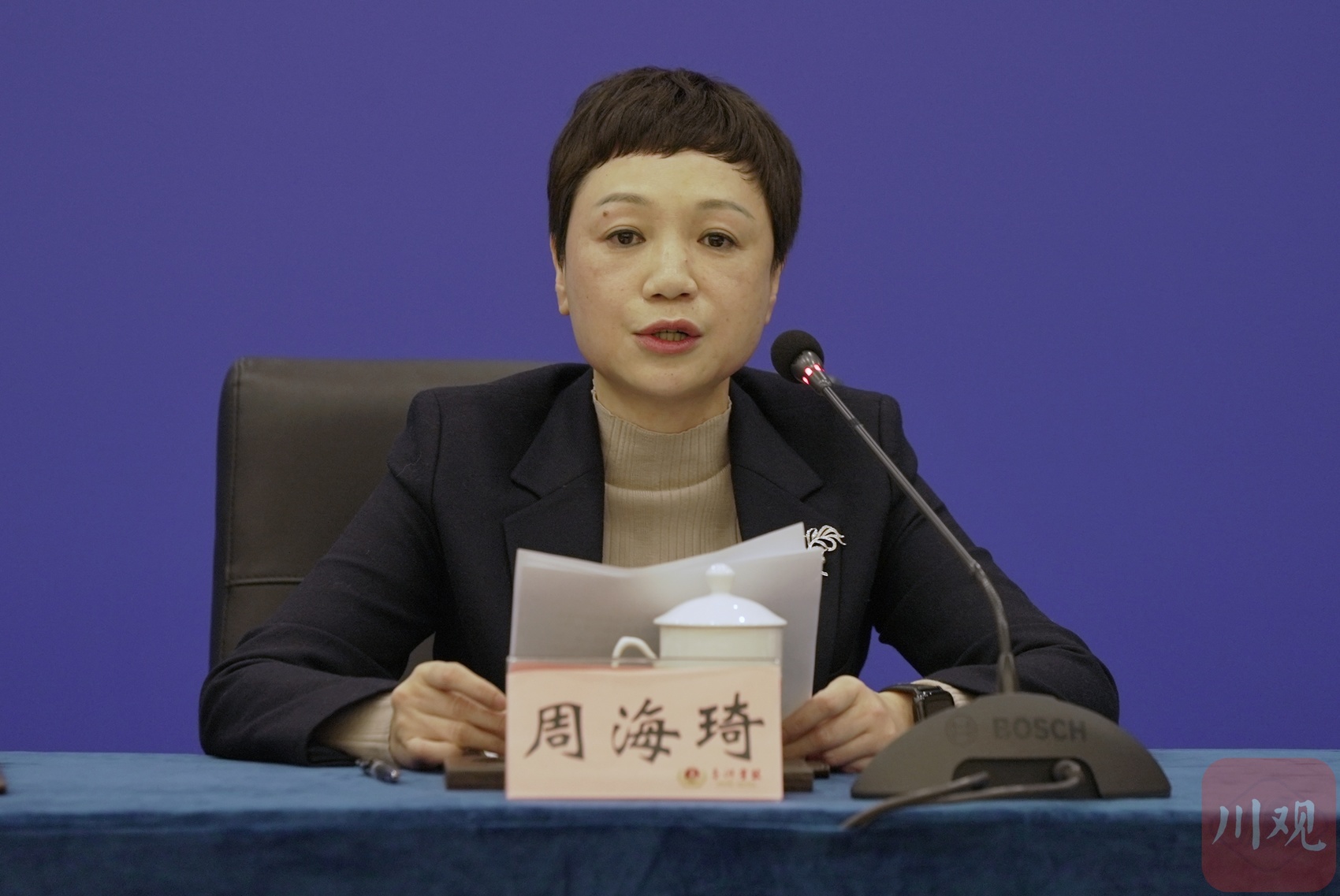 聚焦四川人才发展雁阵格局③丨到2027年,四川将遴选培养不少于100名“经纬人才”|四川省_新浪财经_新浪网