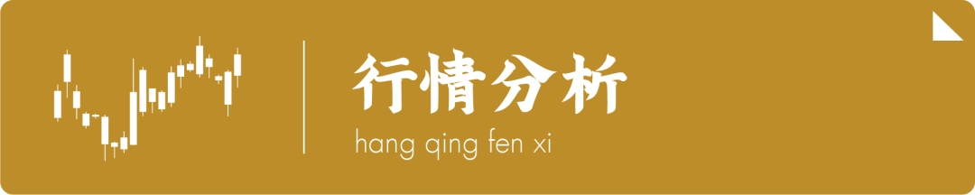 文 | 段恩典
