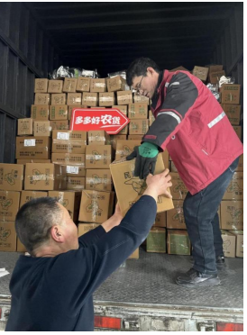 ▲在民勤县,每天都有大量人参果被发往全国各地。小龙