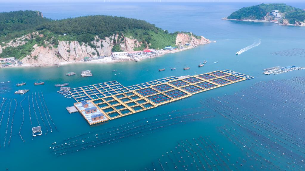 "向海图强":辽宁大连着力做好海洋经济文章|海洋_新浪财经_新浪网