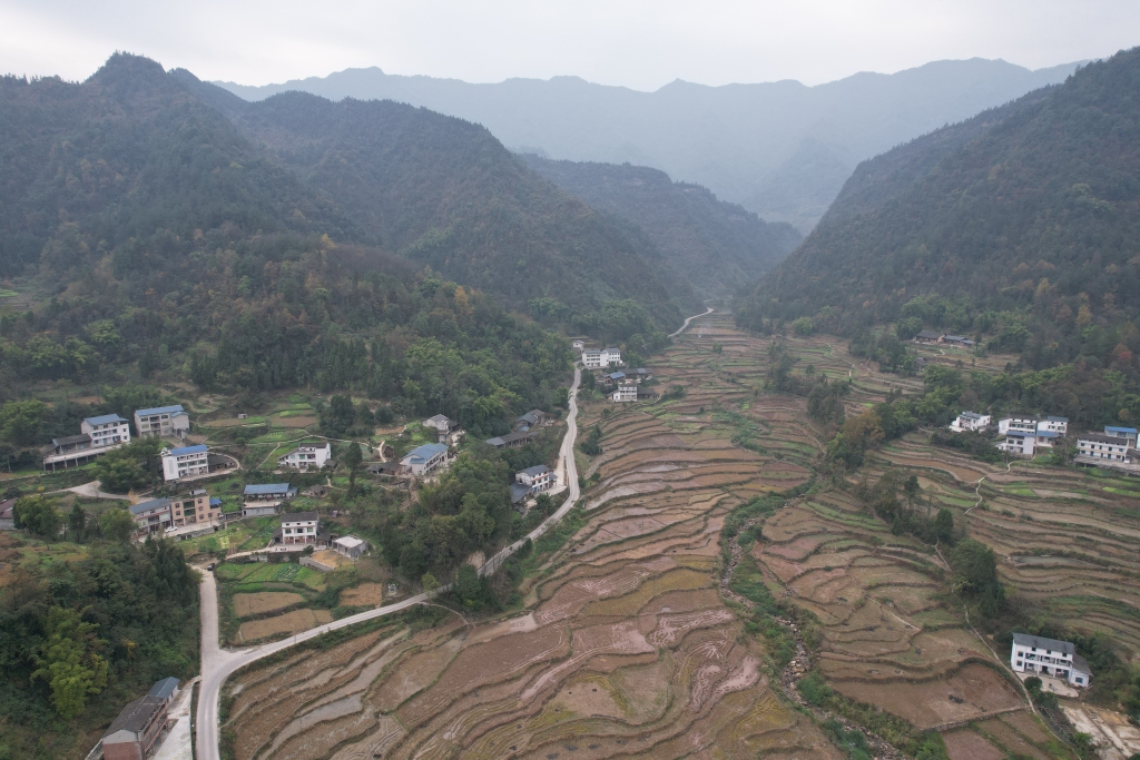 打通镇下沟地块高标准农田.綦江区宣传部 供图
