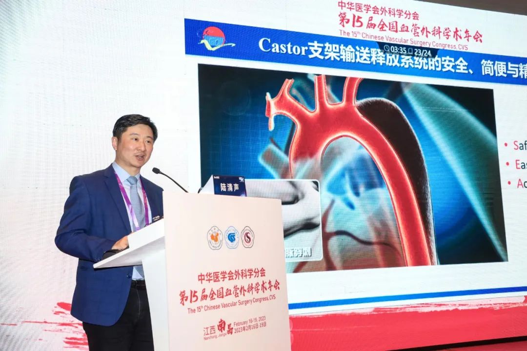 ▲ 陆清声教授针对Castor®分支型支架进行分享